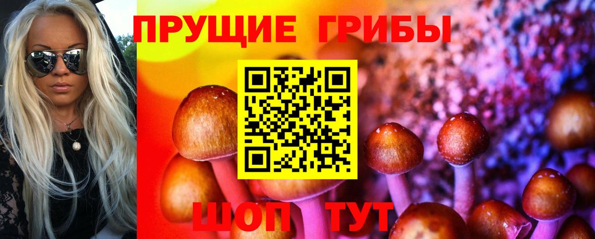Красный Сулин  купить закладку  Галлюциногенные грибы прущие грибы  Вход с VPN  Псилоцибиновые грибы Psilocybe 